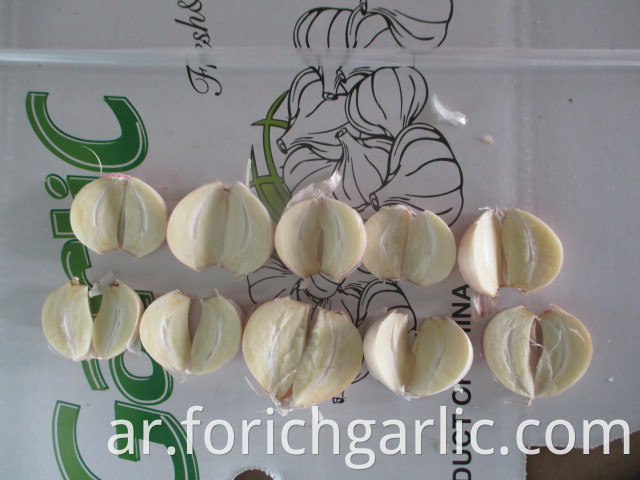 Garlic Normal Of Jinxiang